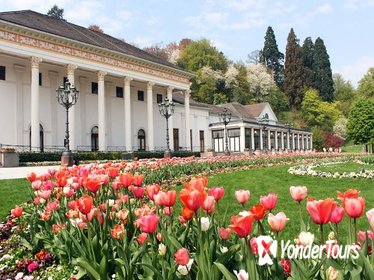Black Forest and Baden-Baden Day Trip from Frankfurt