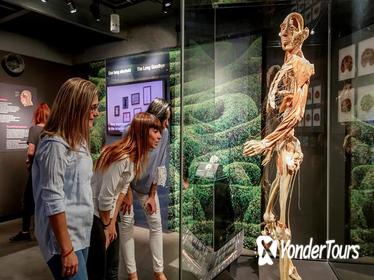 Body Worlds Amsterdam 'The Happiness Project' Skip-the-Line Ticket