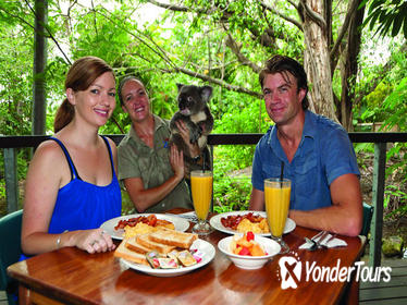 Breakfast with the Koalas at Hartley's Crocodile Adventures from Palm Cove