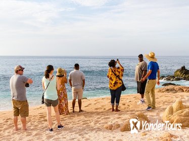 Cabo San Lucas and San Jose del Cabo Sightseeing Combo Tour