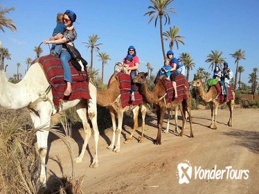 Camel ride in Marrakech palm grove including a visit to berber family