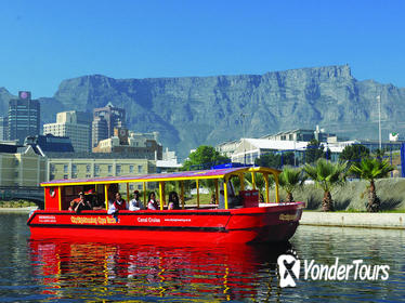Cape Town 30-minute Sightseeing Cruise with Live Commentary