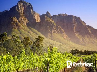 Cape Winelands Guided Private Day Tour from Cape Town