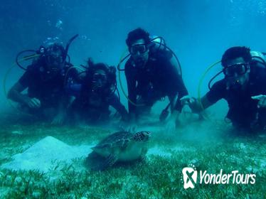 Certified Guided Reef Dive in St Thomas