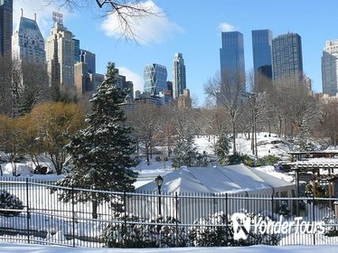 Christmas in Manhattan: Private Experience with a City Host