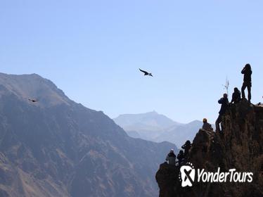 Colca Valley Overnight Tour from Arequipa: Colca Canyon, Vicuna Reserve and Condors