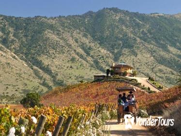 Colchagua Valley Winery Day Trip from Santiago