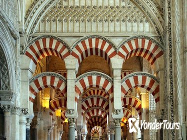 Córdoba Private Guided Day Tour from Madrid