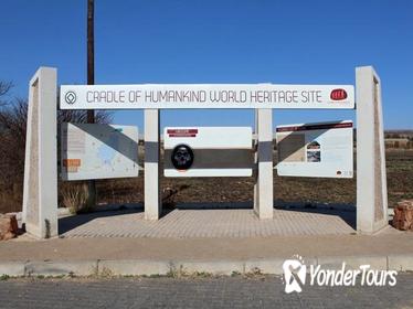 Cradle of Human Kind and Lion Park Tour Full day Tour from Johanensburg