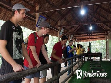 Cu Chi Tunnels Experience: Small Group Tour
