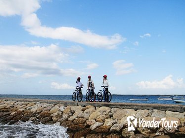 Cycle Tour of Sanur Village with Seawalker Experience