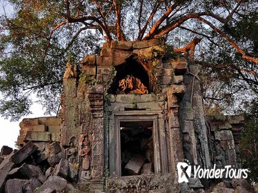 Day Trip to Beng Mealea Temple and Kampong Khleang from Siem Reap