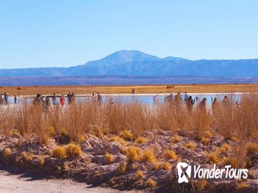 Day Trip to Cejar and Tebinquinche Lagoons from San Pedro de Atacama