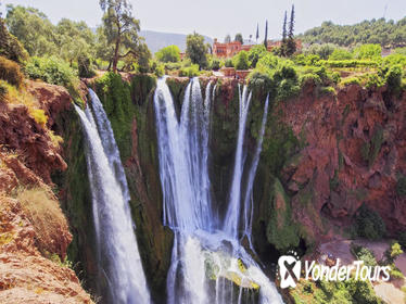 Day Trip to Ouzoud Falls from Marrakech