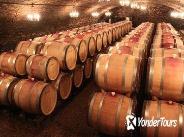 Divine Small Group Wine Tasting Guided Day Tour in Burgundy from Beaune