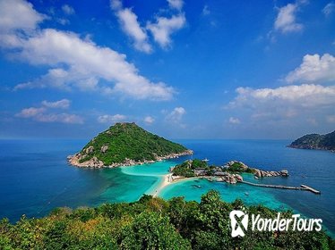 Diving Trip at Koh Tao from Koh Samui Including Lunch