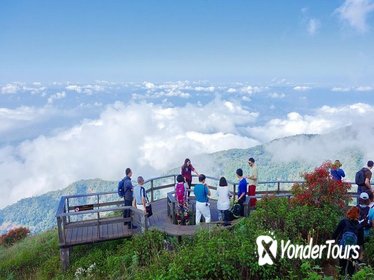 Doi Inthanon National Park Full Day Tour from Chiang Mai