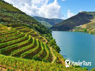 Douro Valley Wine Private Tour with Wine Tasting from Porto