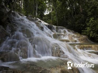 Dunn's River Falls and Fern Gully Adventure Tour from Montego Bay