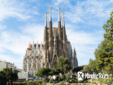 Early Access to Sagrada Familia with Optional Tower Access