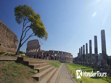 Early Morning Colosseum and Ancient Rome Small Group Tour