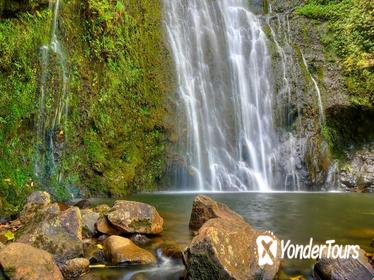 East Maui Waterfalls and Rainforest Hike with Hotel Pickup