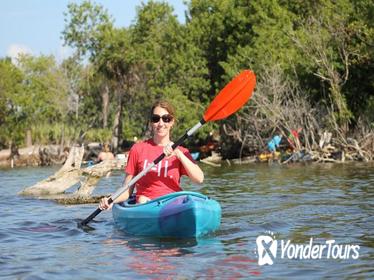 Econlockhatchee River Kayaking Tour in Florida