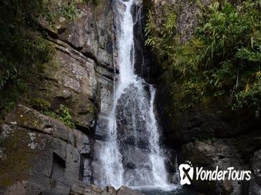 El Yunque Rain Forest Nature Walk and Bioluminescent Bay Kayaking Combo Tour
