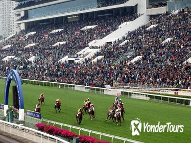 Enjoy the horse races as a VIP guest at the Shatin Racetrack!