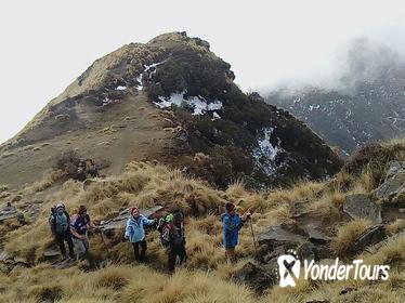 Enjoy your Mardi Himal Base Camp Dream Trekking in 3 Days from Pokhara Nepal