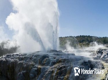 Exciting Rotorua Day Trip from Auckland