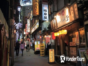 Explore Tokyo's Nocturnal Playground with a Local