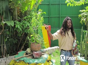 Falmouth Shore Excursion: Bob Marley Experience