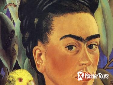 Frida Kahlo House, Xochimilco, and University City Tour