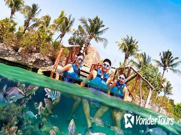 From Playa del Carmen: Access to Xel-Ha with Express Transportation
