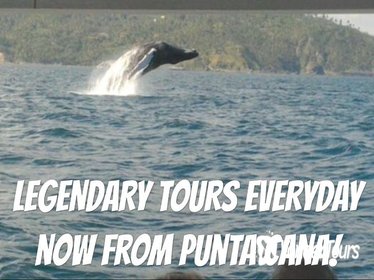 From Punta Cana: Famous Whale Samana and Cayo Levantado Beach with Whale Biologist