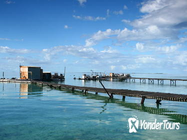 Full Day Guided Abrolhos Fly and Flipper Tour from Geraldton