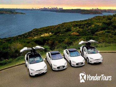 Full Day Private City & Northern Beaches - Luxury Tesla Tour