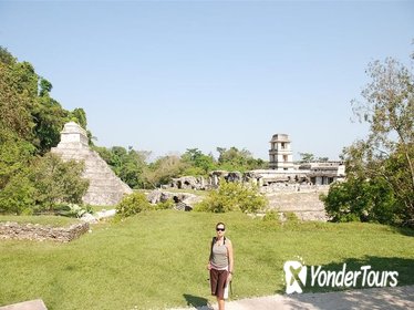 Full Day Tour: Wonders of Agua Azul Cascades and Palenque Ruins