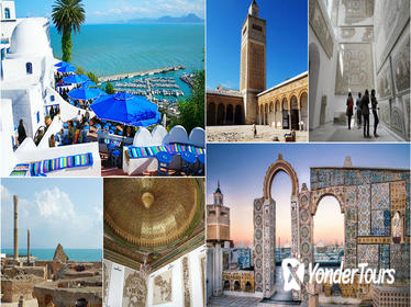 Full-Day Carthage, Sidi Bou Said and Bardo Museum Private Tour from Tunis