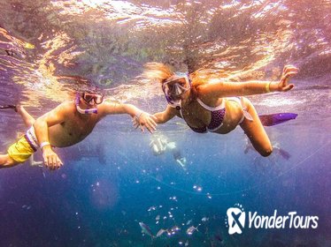 Full-Day Catalina Island Snorkeling Tour from Punta Cana