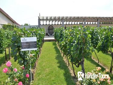 Full-Day Combo Tour from Odessa: Akkerman Fortress and Shabo Wine Center with Tasting
