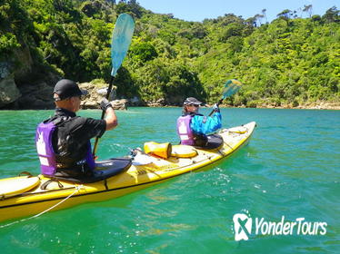 Full-Day Guided Sea Kayak Trip from Picton