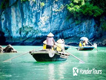 Full-Day Halong Tour Including Bamboo Boat Ride from Hanoi