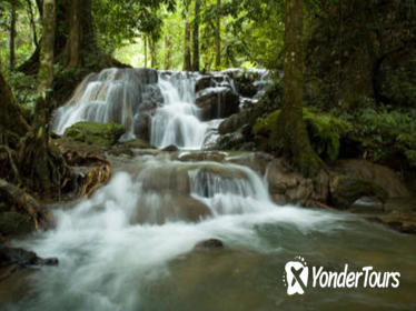 Full-day Krabi Hot Stream and Rainforest Tour
