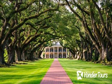 Full-Day Oak Alley and Evergreen Plantations from New Orleans