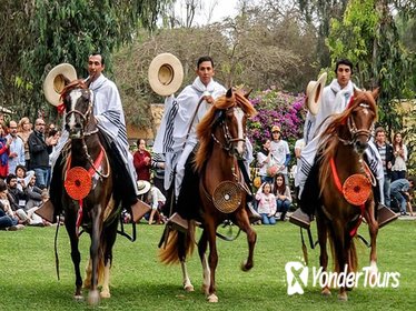 Full-Day Private Tour of Pachacamac Site and Peruvian Paso Horse Show from Lima