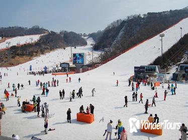 Full-Day Ski Package with Transportation from Seoul