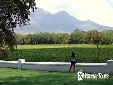 Full-Day South African Wine Tour