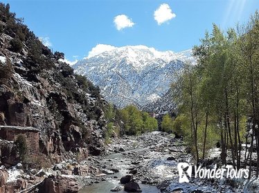 Full-Day Tour from Marrakech to Ourika Valley including Camel Ride Lunch and Guided Hike